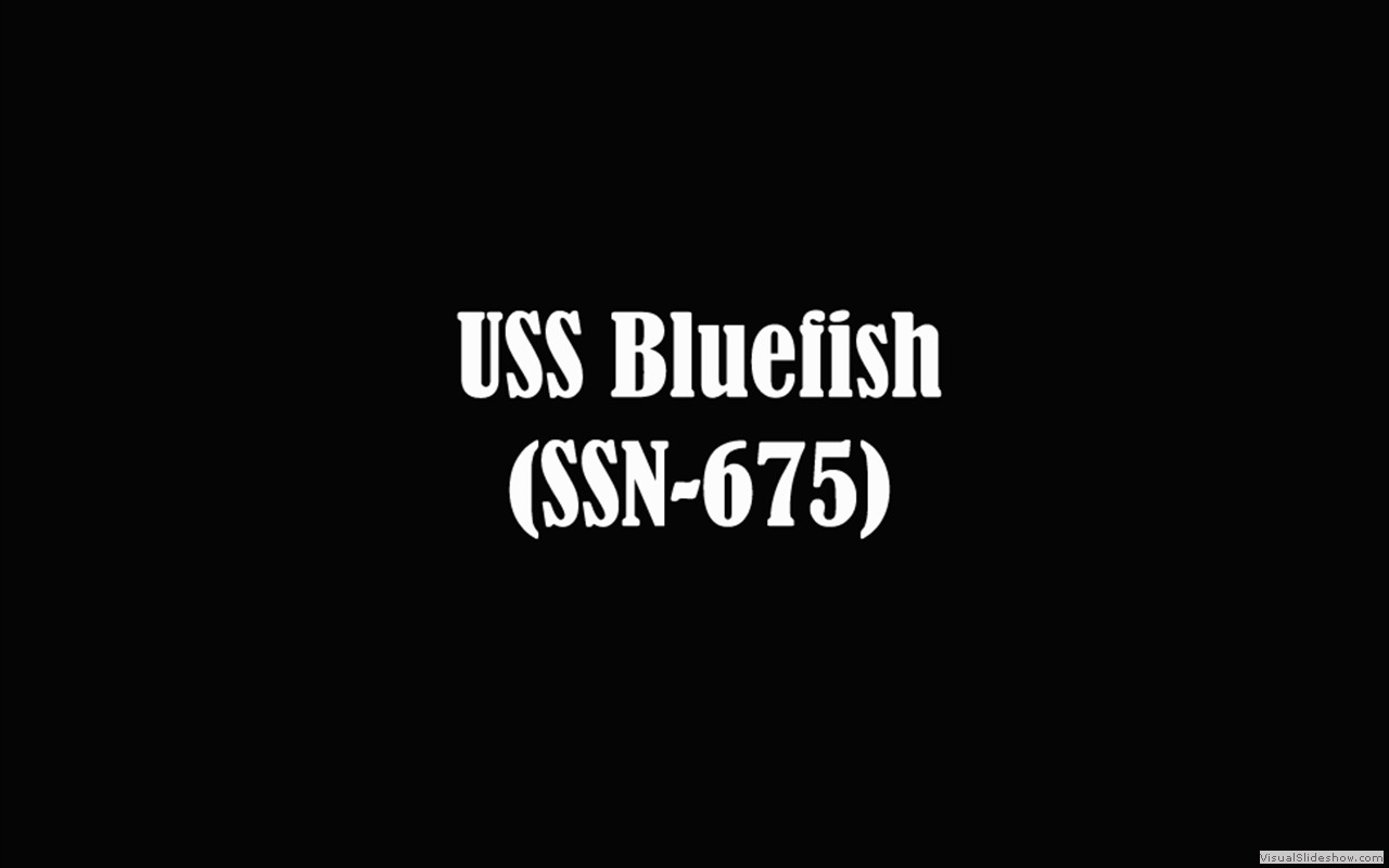 Bluefish