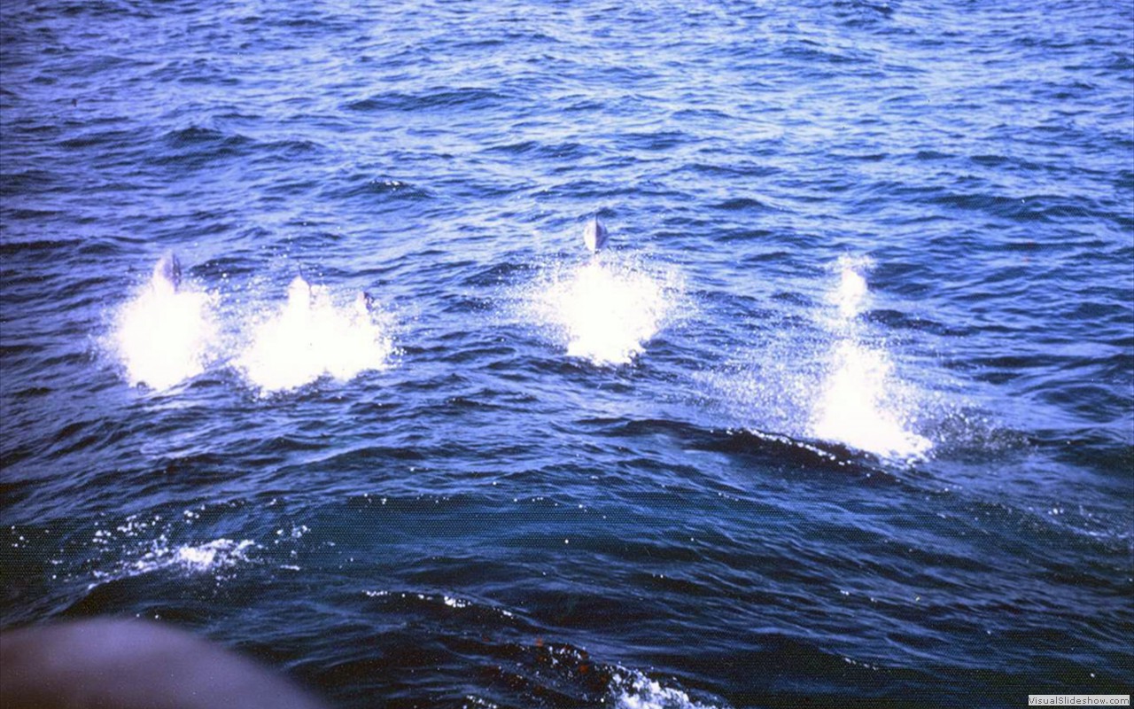 Grayling (SSN-646)-11